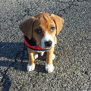 Meet your Posher, Maureen